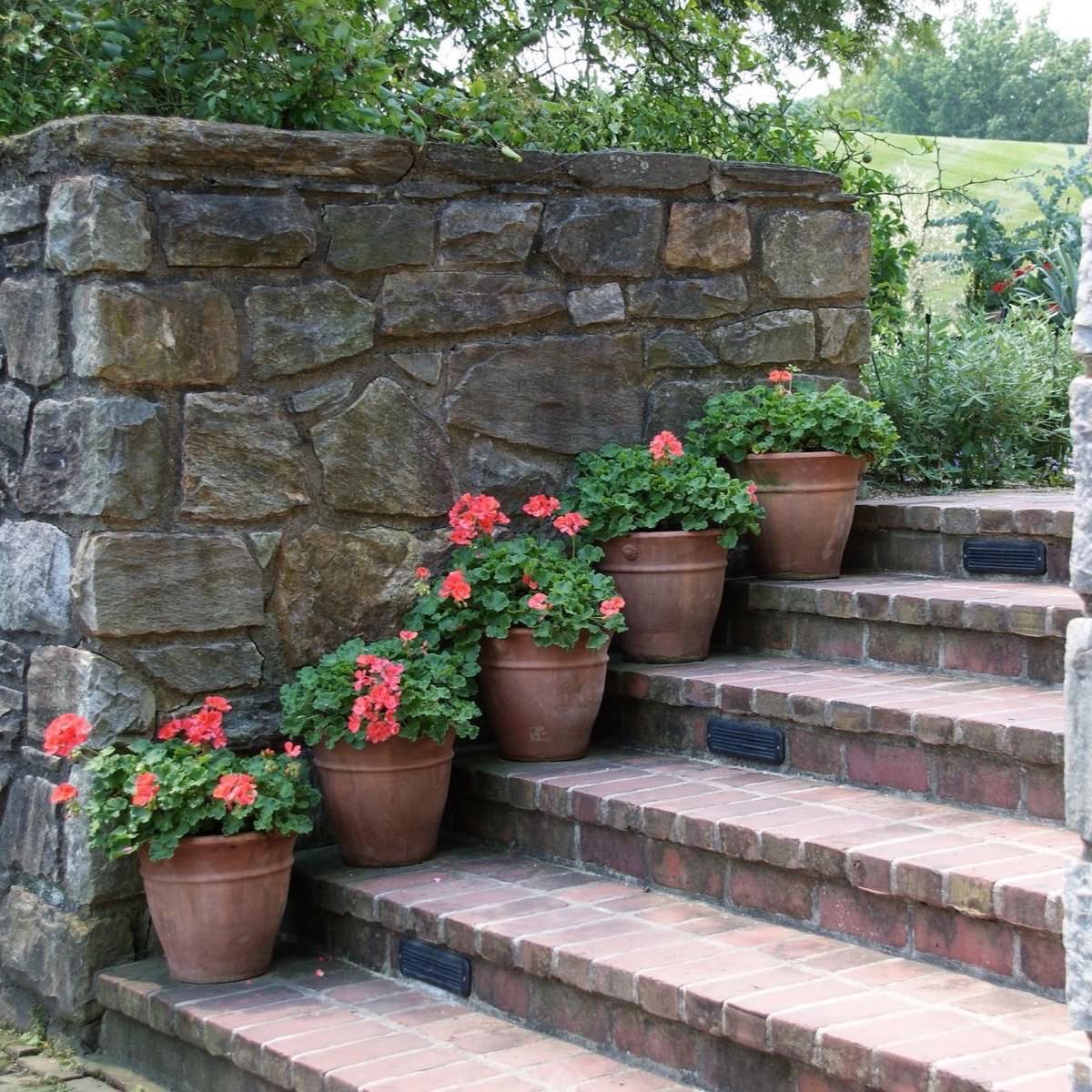 Stone garden steps with potted plants